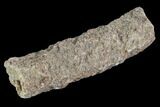 Fulgurite - Petrified Lightning #90349-1